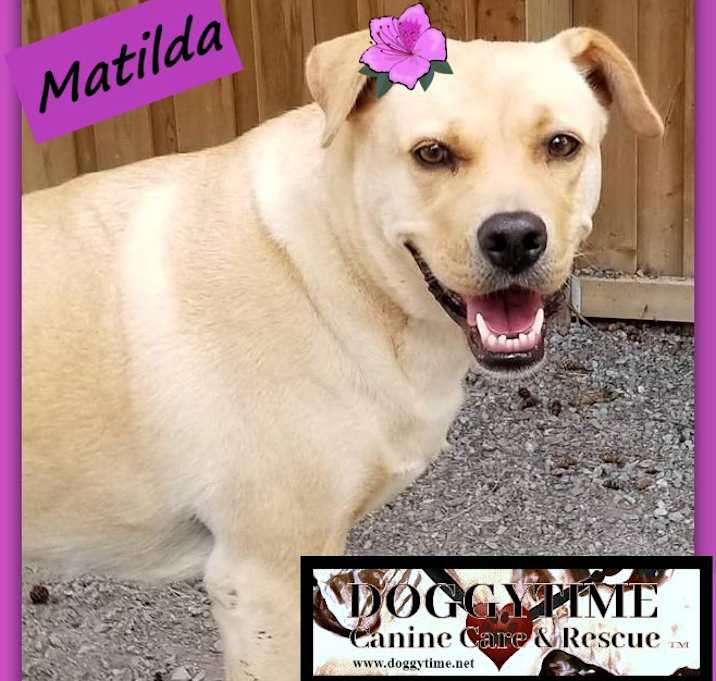Photo of MATILDA