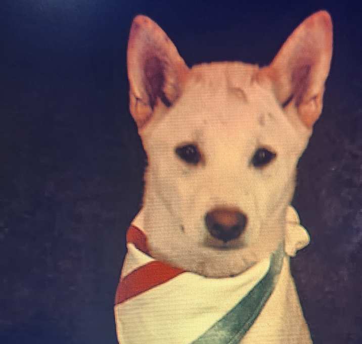 Photo of Dakota