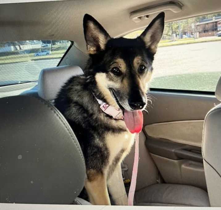 Photo of Jocie nka ECHO