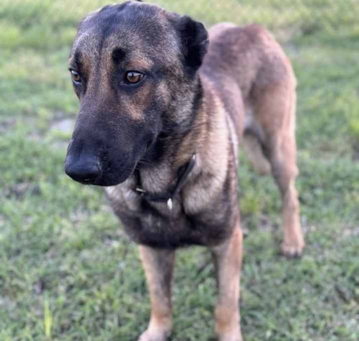 Photo of Rhett