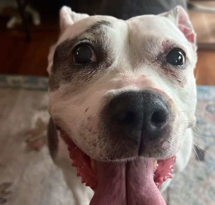 Photo of Bertha