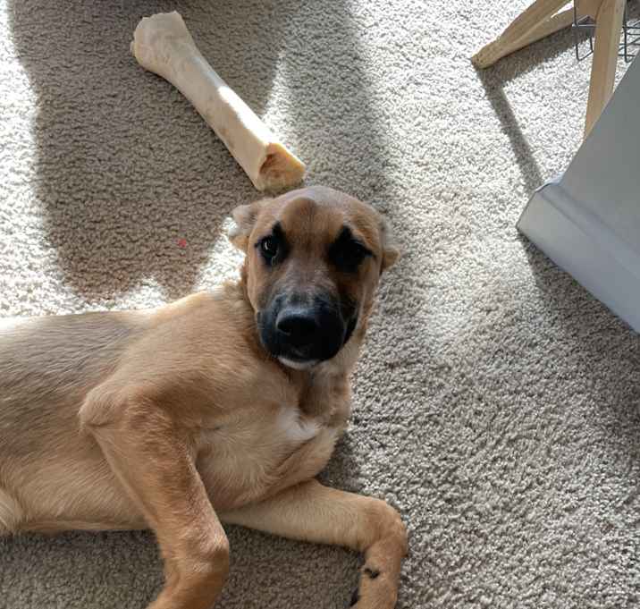 Photo of Freya