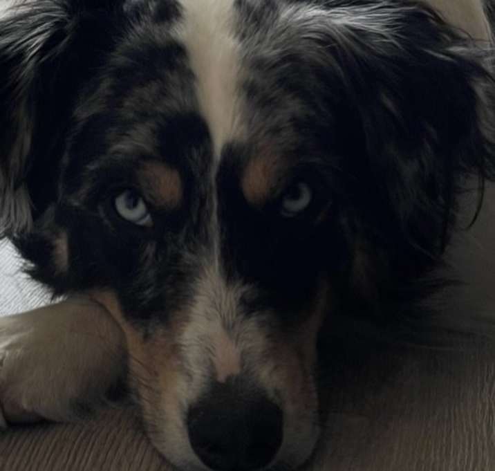 Photo of Blue