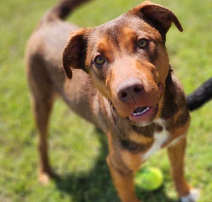 Photo of Roxxy
