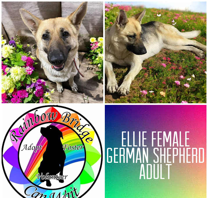 Photo of Ellie