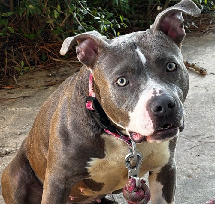 Photo of Lola