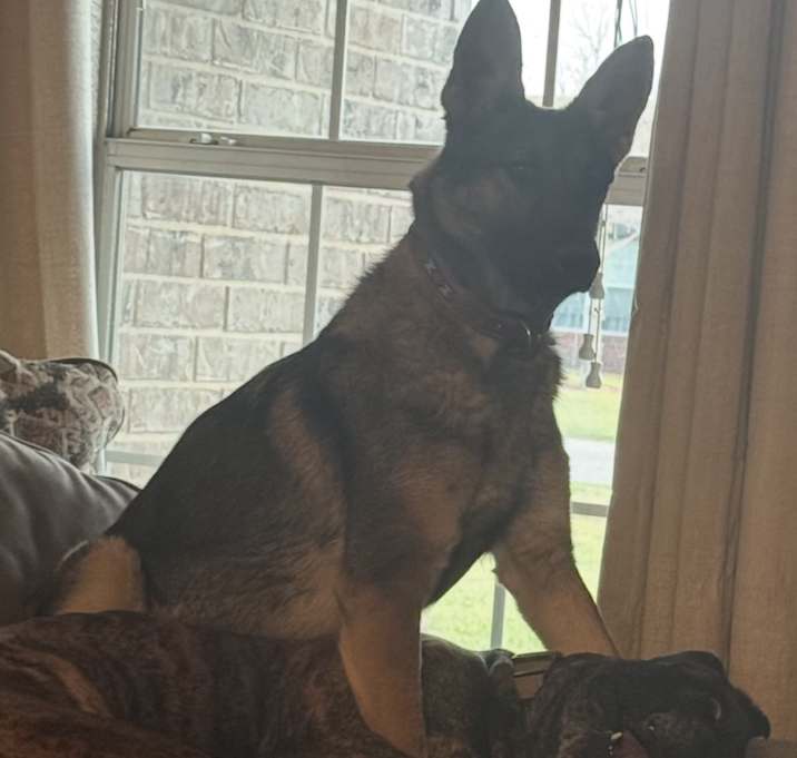Photo of Maggie