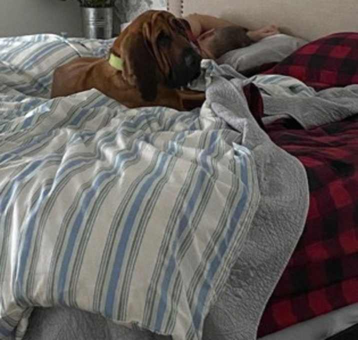 Photo of Beau