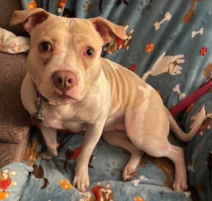 Photo of Daisey