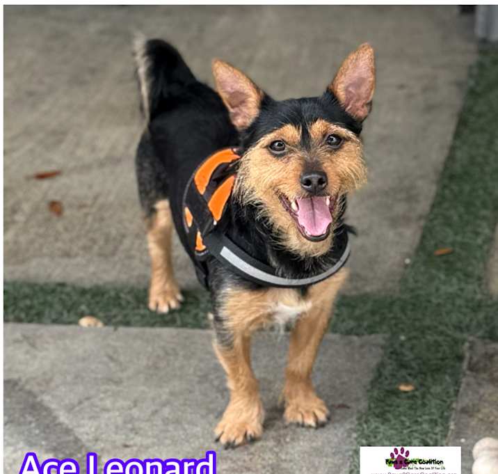 Photo of Ace Leonard
