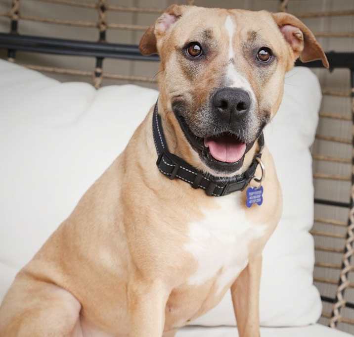 Photo of Ruthie