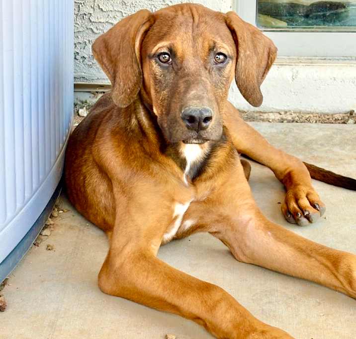 Photo of Annie