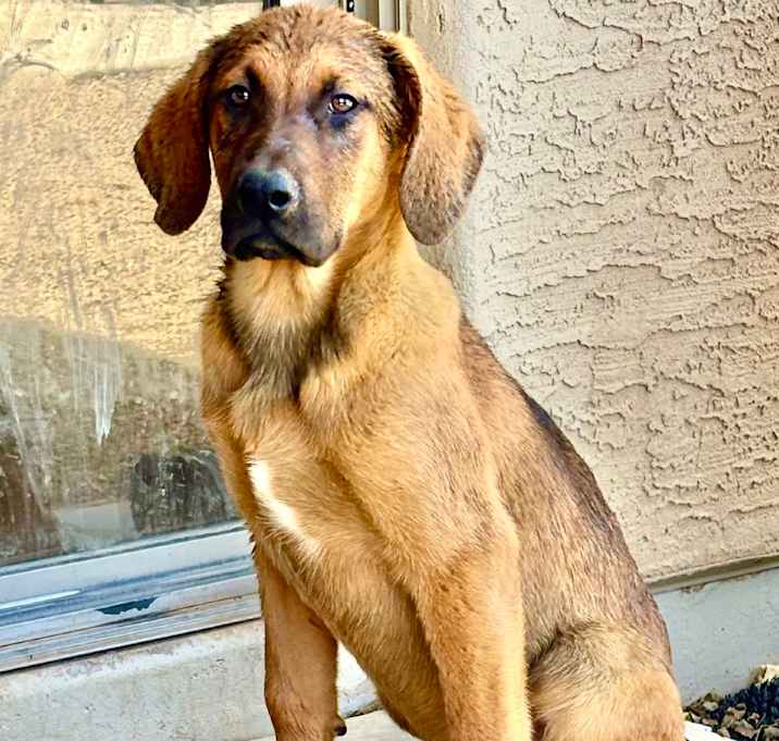 Photo of Max