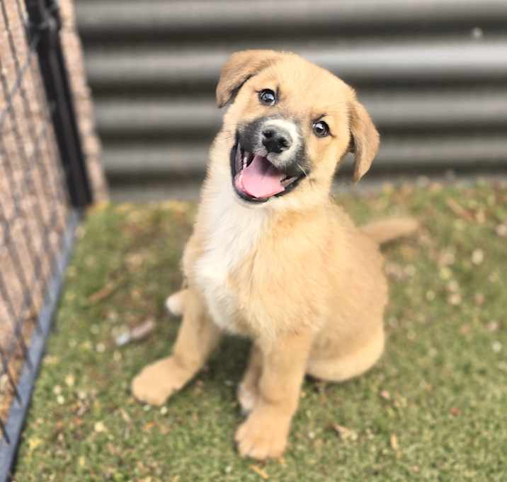 Photo of Stanley