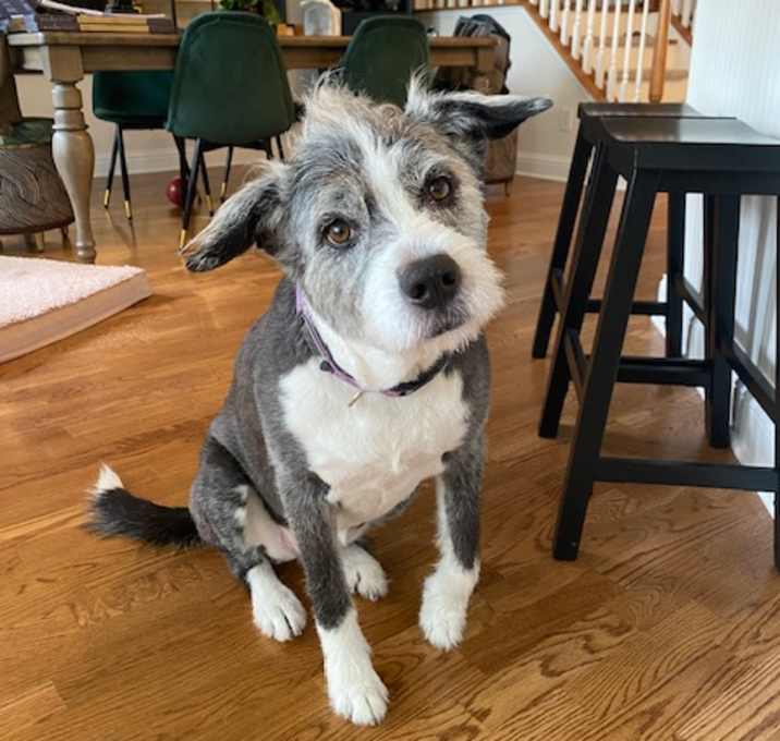 Photo of Zoey