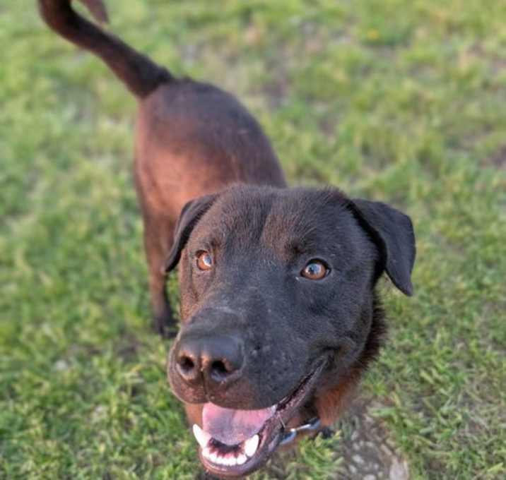 Photo of Mosby