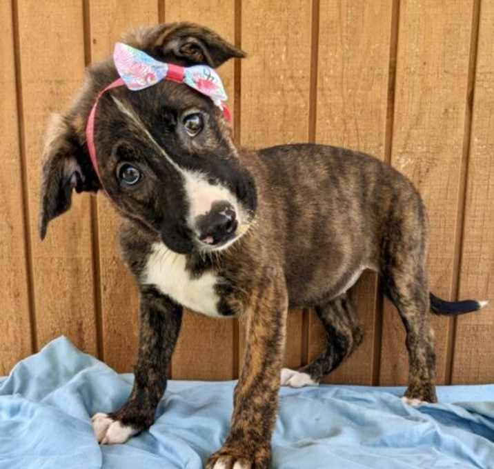 Photo of Zora