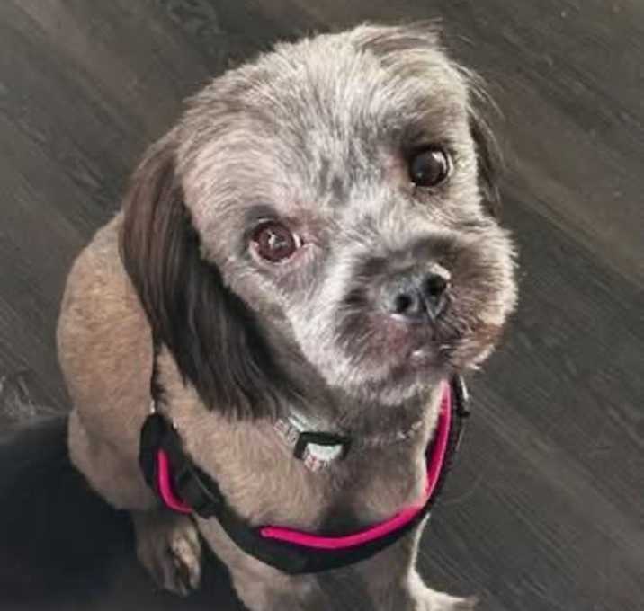 Photo of Phoenix
