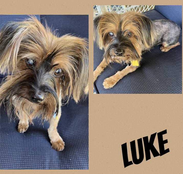 Photo of Luke