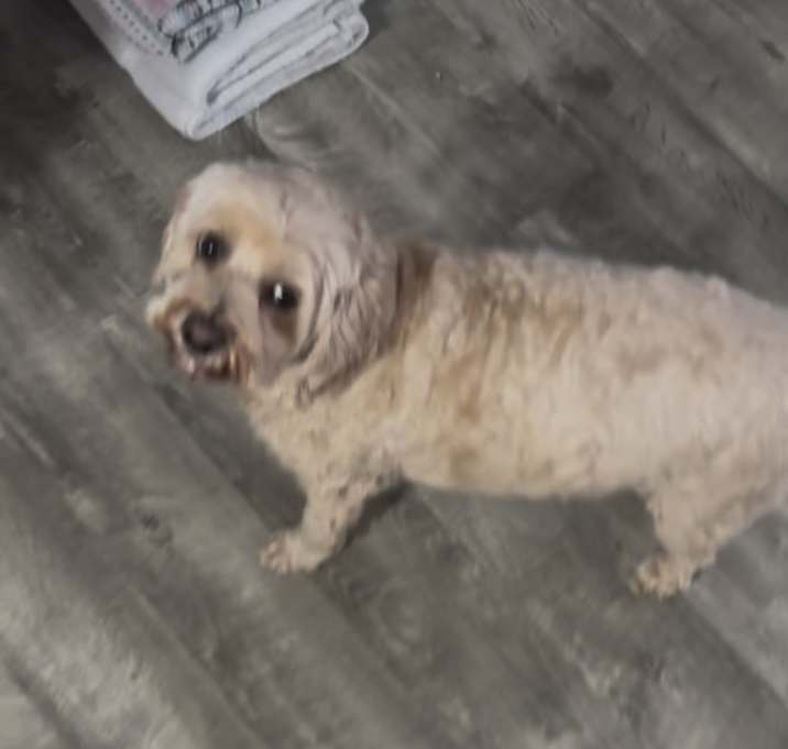 Photo of Mia 7yr