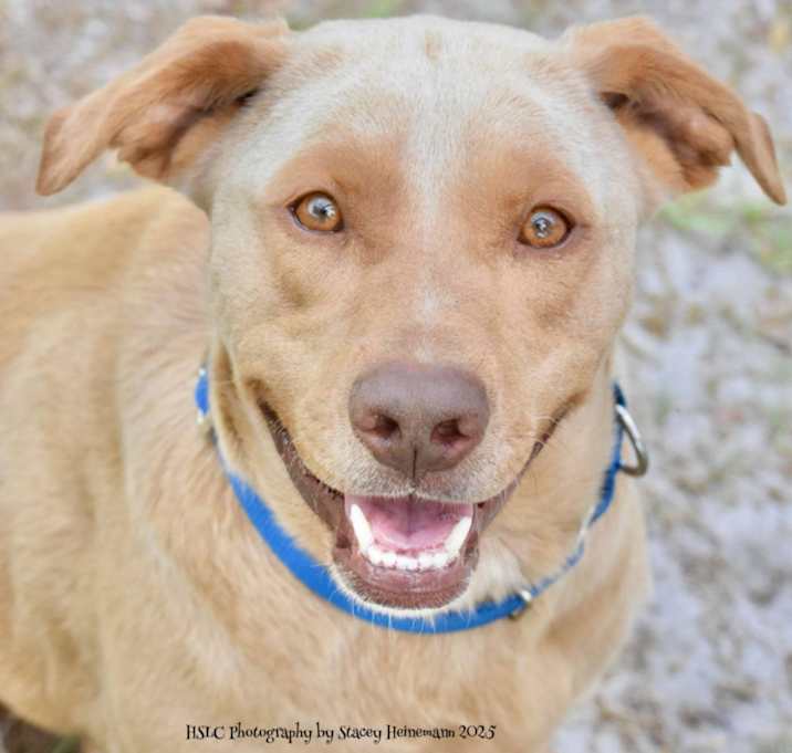 Photo of Layla *SPONSORED*
