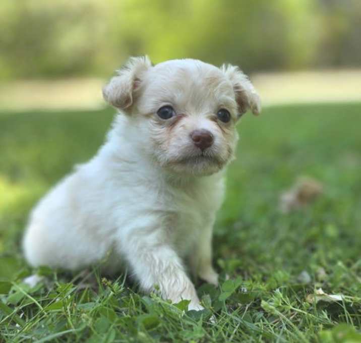 Photo of Mojito Tate