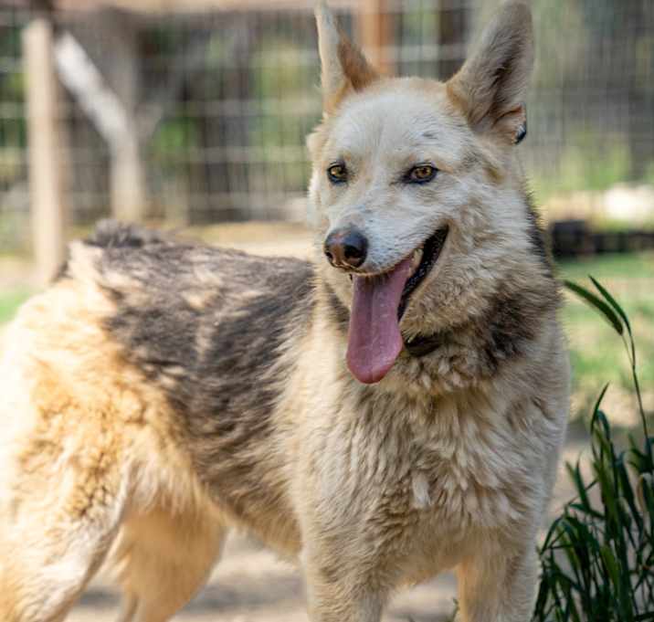 Photo of LULU
