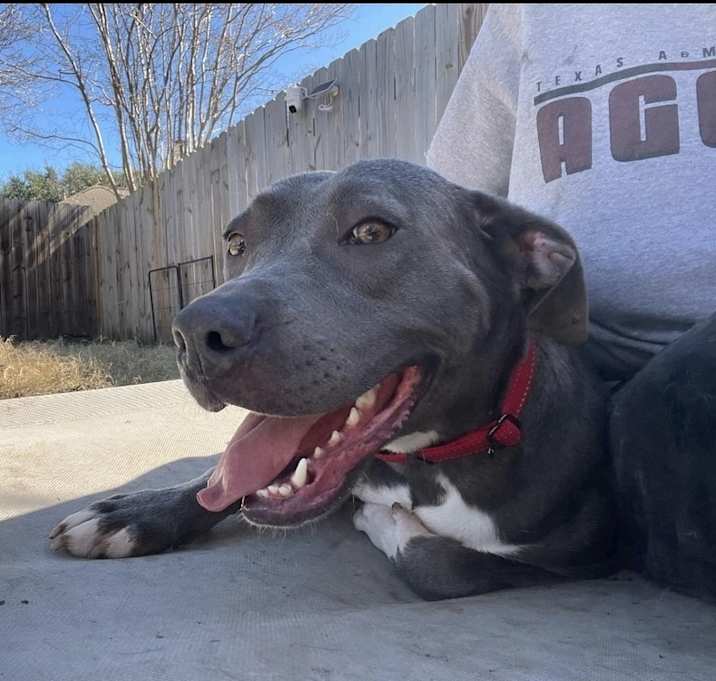 Photo of Laney