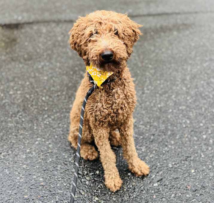 Photo of Sofie