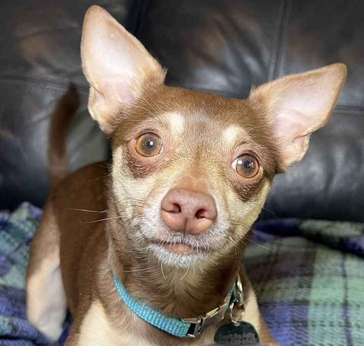 Photo of Kadee