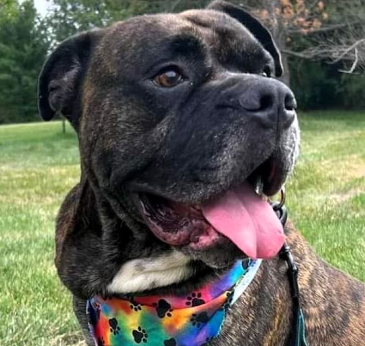 Photo of Max