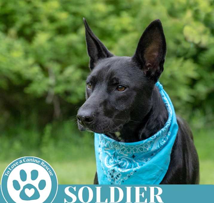 Photo of Soldier 050325
