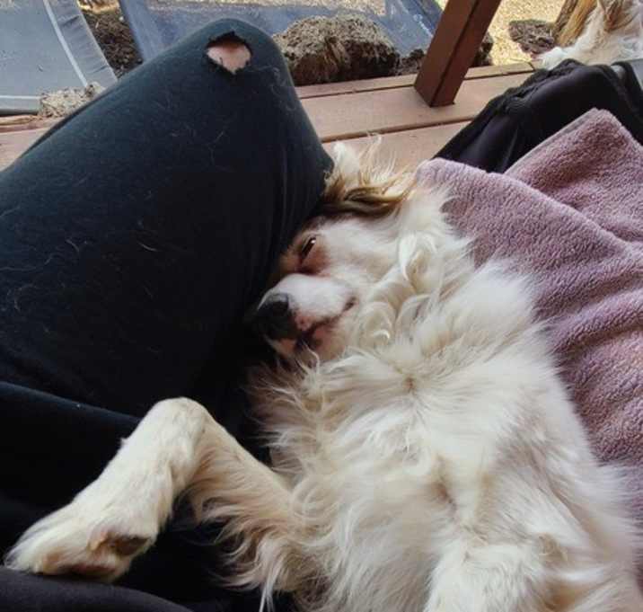 Photo of Pinky