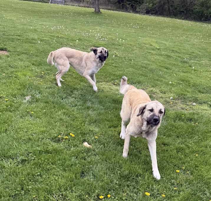 Photo of Spice and Sugar