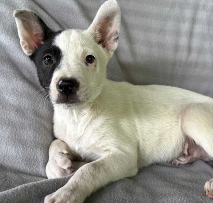Photo of Valen