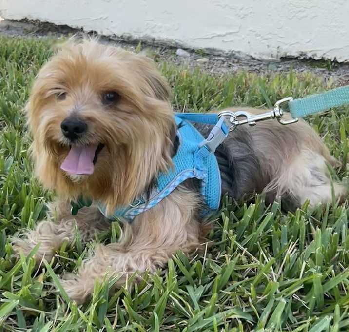 Photo of Hershey