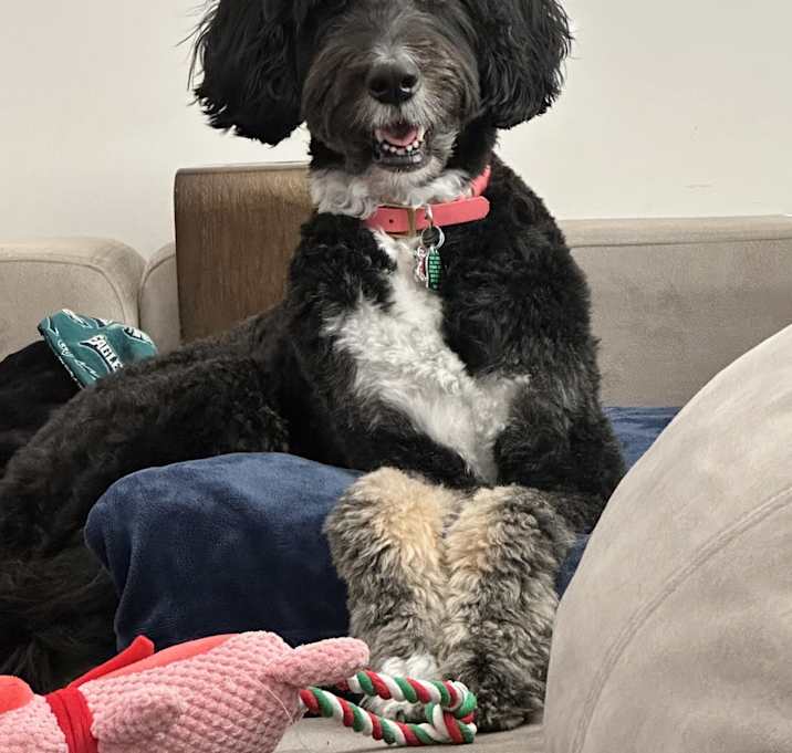 Photo of Polly