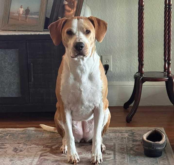Photo of Rosie