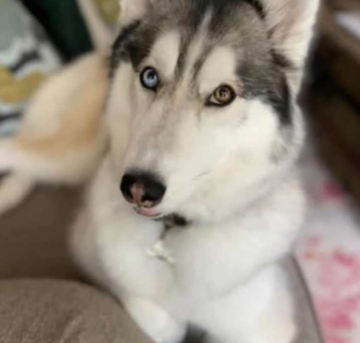 Photo of Ava