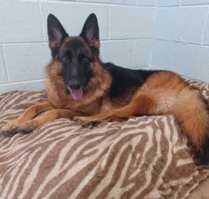 Photo of Roo