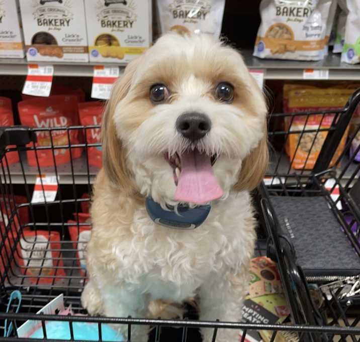 Photo of Bentley