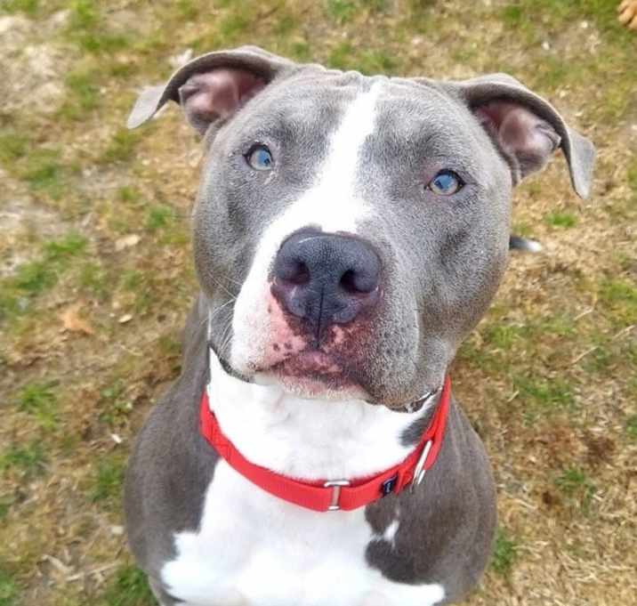 Photo of Bolo