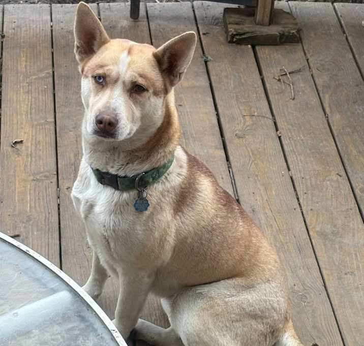 Photo of Zelda