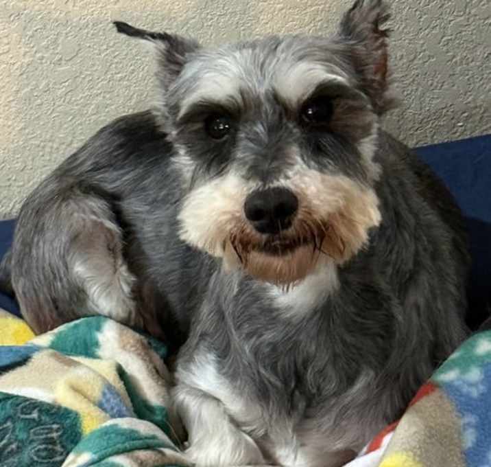 Photo of Gretchen