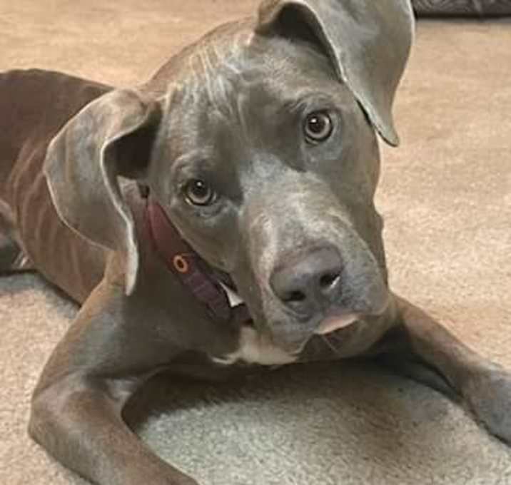 Photo of Sadie