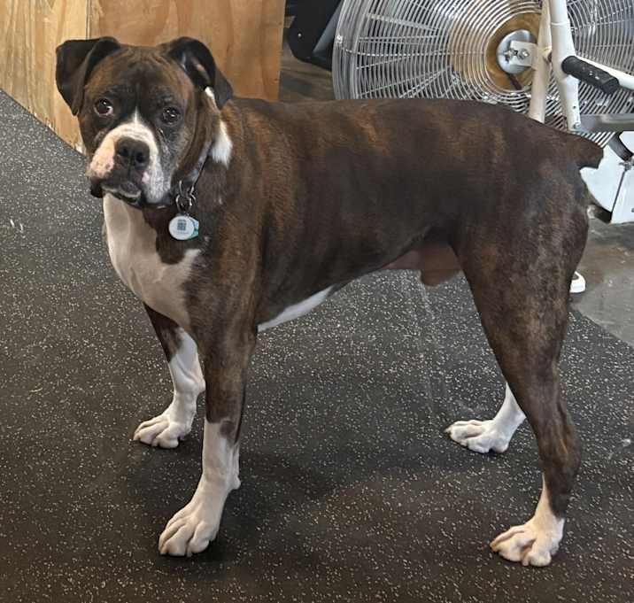 Photo of Bronx