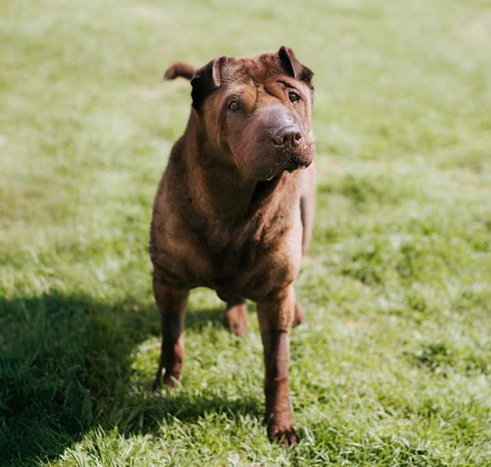 Photo of Rizzabel