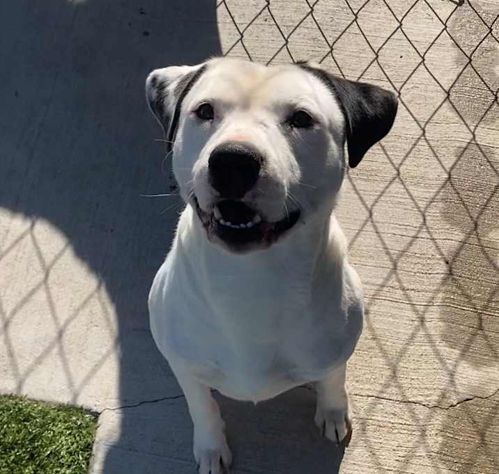 Photo of Tuck