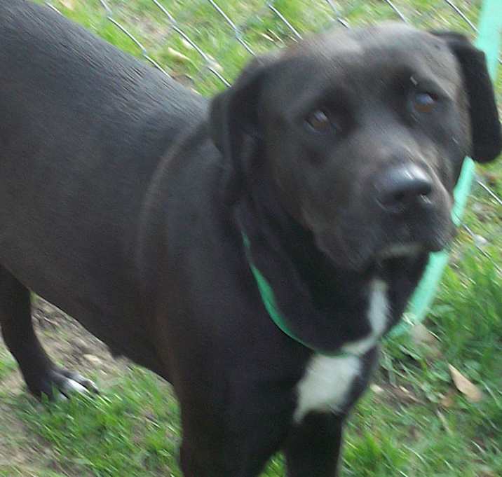 Photo of MISS MOLLY