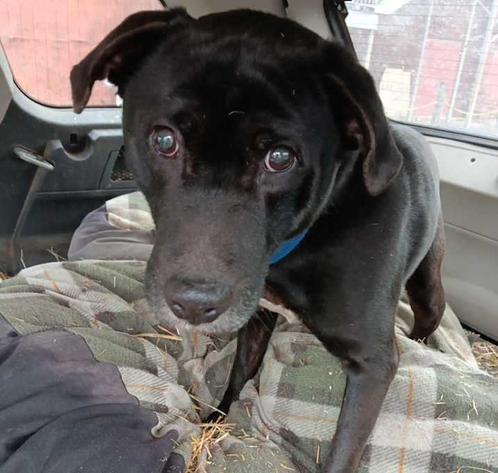 Photo of Jack